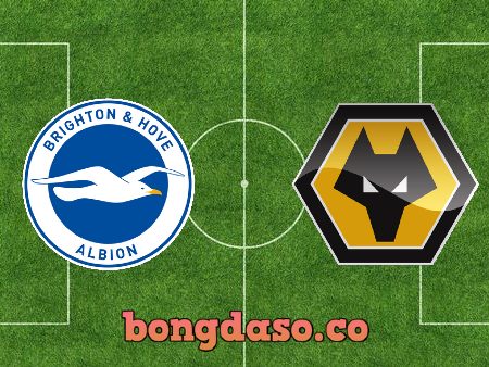 Soi kèo nhà cái Brighton vs Wolves – 00h30 – 03/01/2020