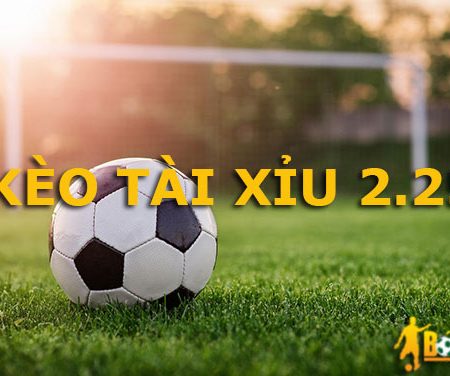 Tìm hiểu về kèo tài xỉu 2.25 khi chơi cá độ bóng đá tại nhà cái