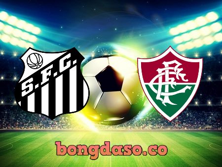 Soi kèo nhà cái W88 Santos vs Fluminense – 06h00 – 02/08/2022