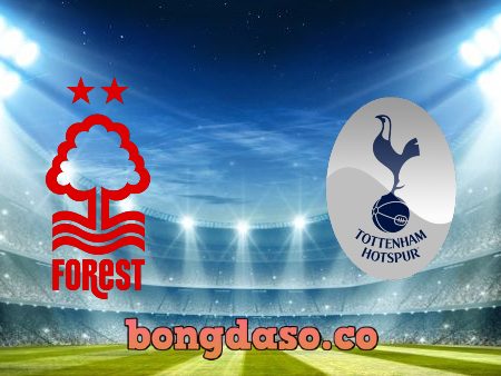 Soi kèo nhà cái Nottingham vs Tottenham – 02h45 – 10/11/2022