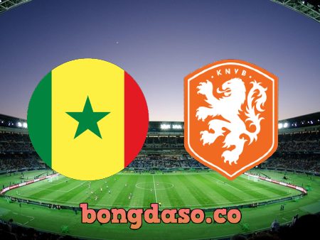 Soi kèo nhà cái Senegal vs Hà Lan – 23h00 – 21/11/2022