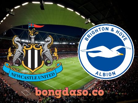 Soi kèo nhà cái Newcastle vs Brighton – 01h30 – 19/05/2023