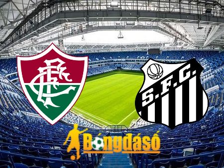 Soi kèo nhà cái Fluminense vs Santos – 02h00 – 30/07/2023