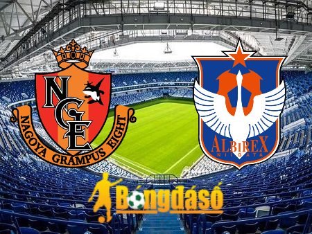 Soi kèo nhà cái Nagoya Grampus vs Albirex Niigata – 17h00 – 05/08/2023